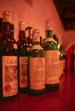 Saltram bottles